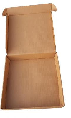 Corrugated Box 12* 12 * 02 Inch/30.48 *30.48 *5.08 cm 3 ply